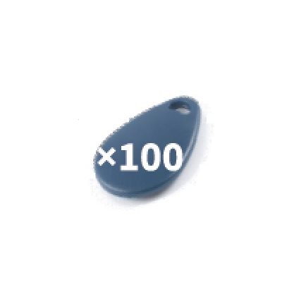 100 GIR Prox keyfobs